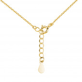 Colier argint placat cu aur galben inima DiAmanti Z1498NG-DIA
